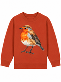 Sweater roodborstje / Heritage brown