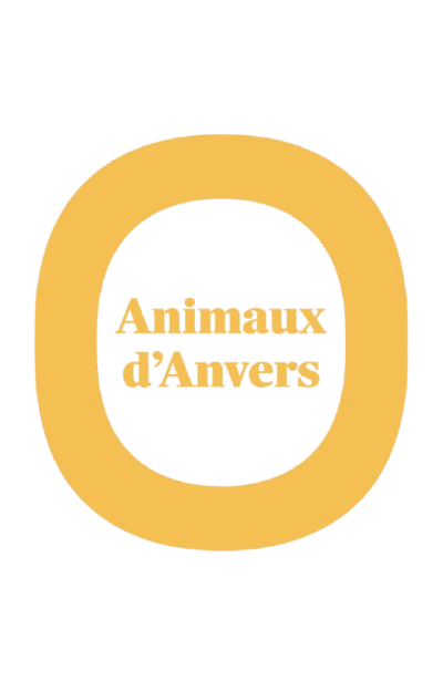 Animaux d’Anvers